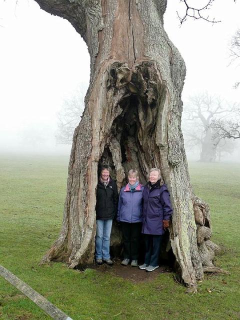 6 A foggy start to our Blenheim walk.jpg